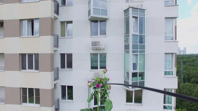 Bunchy flower flies near exterior of residential house from woman on balcony