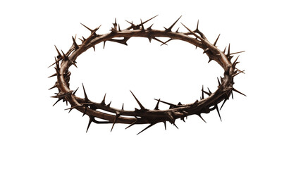 crown of thorns of jesus - obrazy, fototapety, plakaty