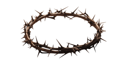 crown of thorns of jesus