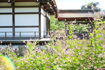 Fototapeta na wymiar Wild flowers in front of traditional Japanese building