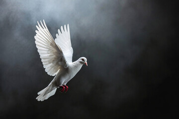 Fliegende Taube im Licht, Zeichen für Frieden, Religion, Christentum, Ostern, Freiheit, Hochzeit, Liebe - obrazy, fototapety, plakaty
