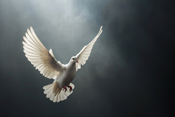 Fliegende Taube im Licht, Zeichen für Frieden, Religion, Christentum, Ostern, Freiheit, Hochzeit, Liebe - obrazy, fototapety, plakaty