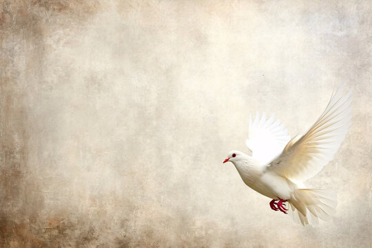 Fliegende Taube im Licht, Zeichen f&uuml;r Frieden, Religion, Christentum, Ostern, Freiheit, Hochzeit, Liebe