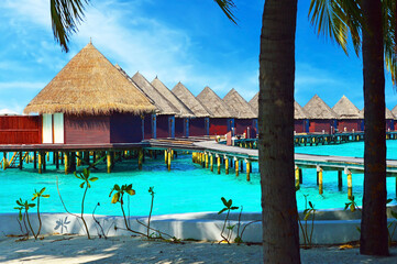 Water villas stand abreast in Maldivian sea 3