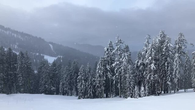 Snowy Forest Ski Lift | Mt Ashland Southern Oregon