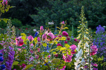 Rose and Perennial Garden © Jason