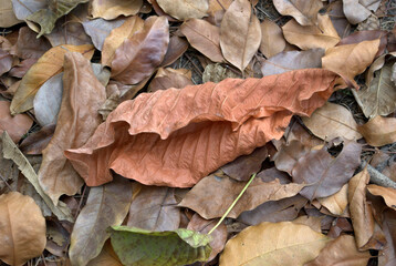 Formas, cuadrados, rectángulos, geometría perfecta, ¡aún los encontramos hoy!