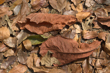 Fototapeta premium Formas, cuadrados, rectángulos, geometría perfecta, ¡aún los encontramos hoy!