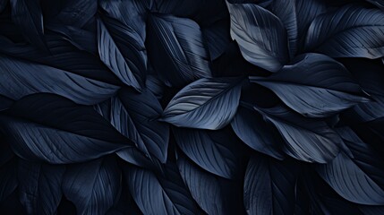 Abstract black leaf textures for tropical leaf background   dark nature concept with copy space