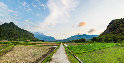 Mai Chau village landscape with rice paddy fields in North Vietnam. Mai Cau is a countryside are...