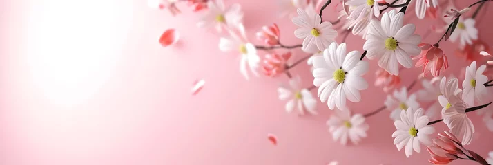 Fotobehang White flowers on a soft pink background with copy space. Women's Day, Valentine's Day and romantic anniversaries. Banner © Marina