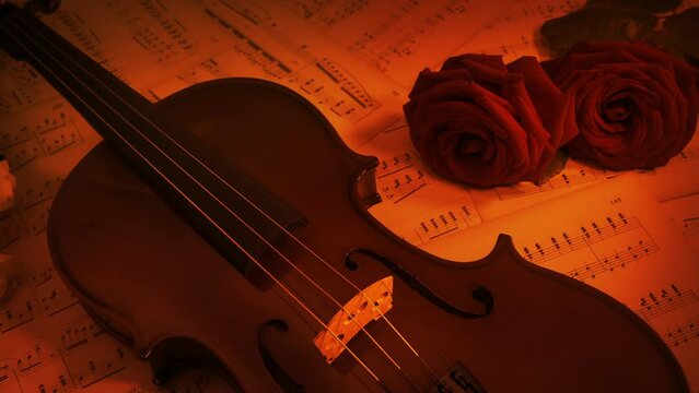 Concert Violin And Roses In Firelight Romantic Scene