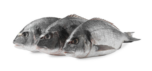 Fototapeta premium Fresh raw dorado fish isolated on white