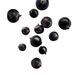 Fresh black currants falling on white background