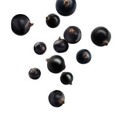 Fresh black currants falling on white background