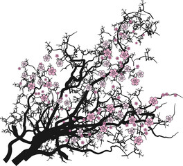 桜（cherry blossoms）(PNG)