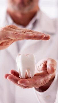 Dental Tooth Insurance