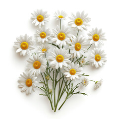 Fototapeta premium bouquet of daisies on blue background