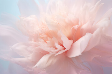 Pink Floral Bliss: A Delicate Celebration of Beauty and Romance in a Soft, Pastel Background