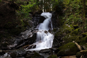Fototapeta premium 田代の本滝 愛知県新城市