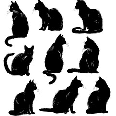 set of cats silhouettes on white background
