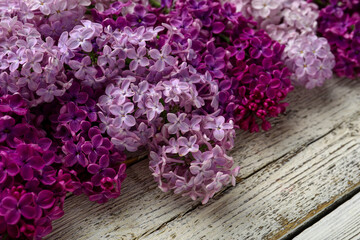 Beautiful fragrant lilac flowers on white wooden background