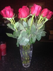 red tulips in a glass vase