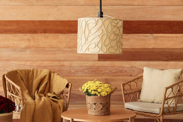 Interior of living room with wicker armchairs and beautiful chrysanthemum flowers