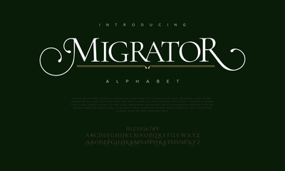 Migrator premium luxury elegant alphabet letters and numbers. Elegant wedding typography classic serif font decorative vintage retro. Creative vector illustration