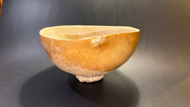 close-up of a typical container made from the fruit of the tecomate or morro tree.  black background with copy space