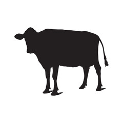 vector cow silhouette icon illustration isolated