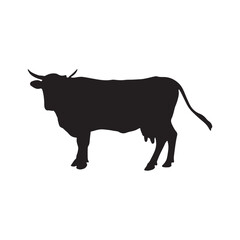 vector cow silhouette icon illustration isolated