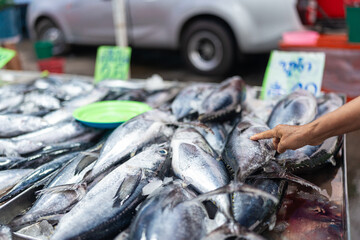 People hand choose and buy tuna seafood fish - 720942575