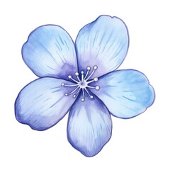 A close-up photo of a vivid blue flower with petals in full bloom, set against a crisp white background.