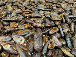 close up of a pile of dried cocoa beans
