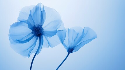 Blue poppy flowers on blue background. illustration for your design. Generative AI