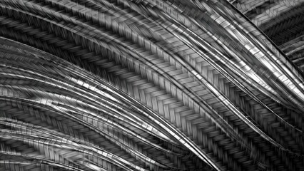 Fototapeta premium Black Wavy Carbon Material Curtain Chic Contemporary Artistic Elegant Modern 3D Rendering Abstract Background