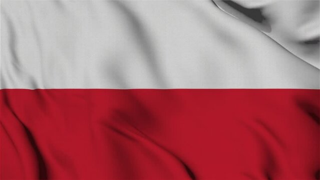 waving flag  poland