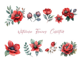 water color flower set, ultra HD red color is very detailed, which is suitable for wedding templates or other decoration purposes