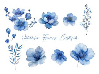 water color flower set, ultra HD blue color is very detailed, which is suitable for wedding templates or other decoration purposes