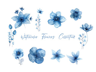 Fototapeta na wymiar water color flower set, ultra HD blue color is very detailed, which is suitable for wedding templates or other decoration purposes