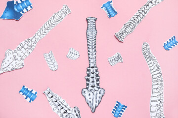 Paper spines on pink background