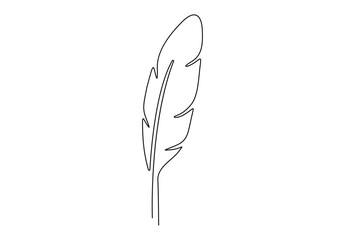 Bird feather in one continuous line drawing vector illustration. Pro vector