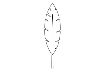 Bird feather in one continuous line drawing vector illustration. Free vector