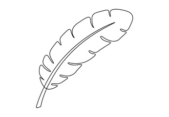 Bird's feather in continuous one line drawing style vector illustration. Premium vector