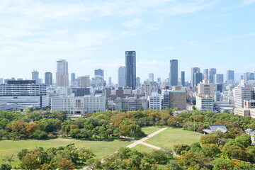 Osaka Skyline