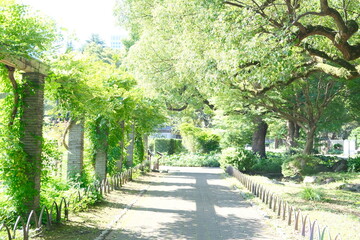 Hibiya Park Tokyo Japan