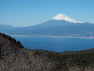 伊豆半島のだるま山高原から富士山を望む