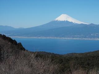 伊豆半島のだるま山高原から富士山を望む