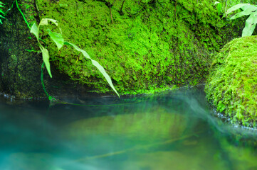 Small stream covered in cool steam